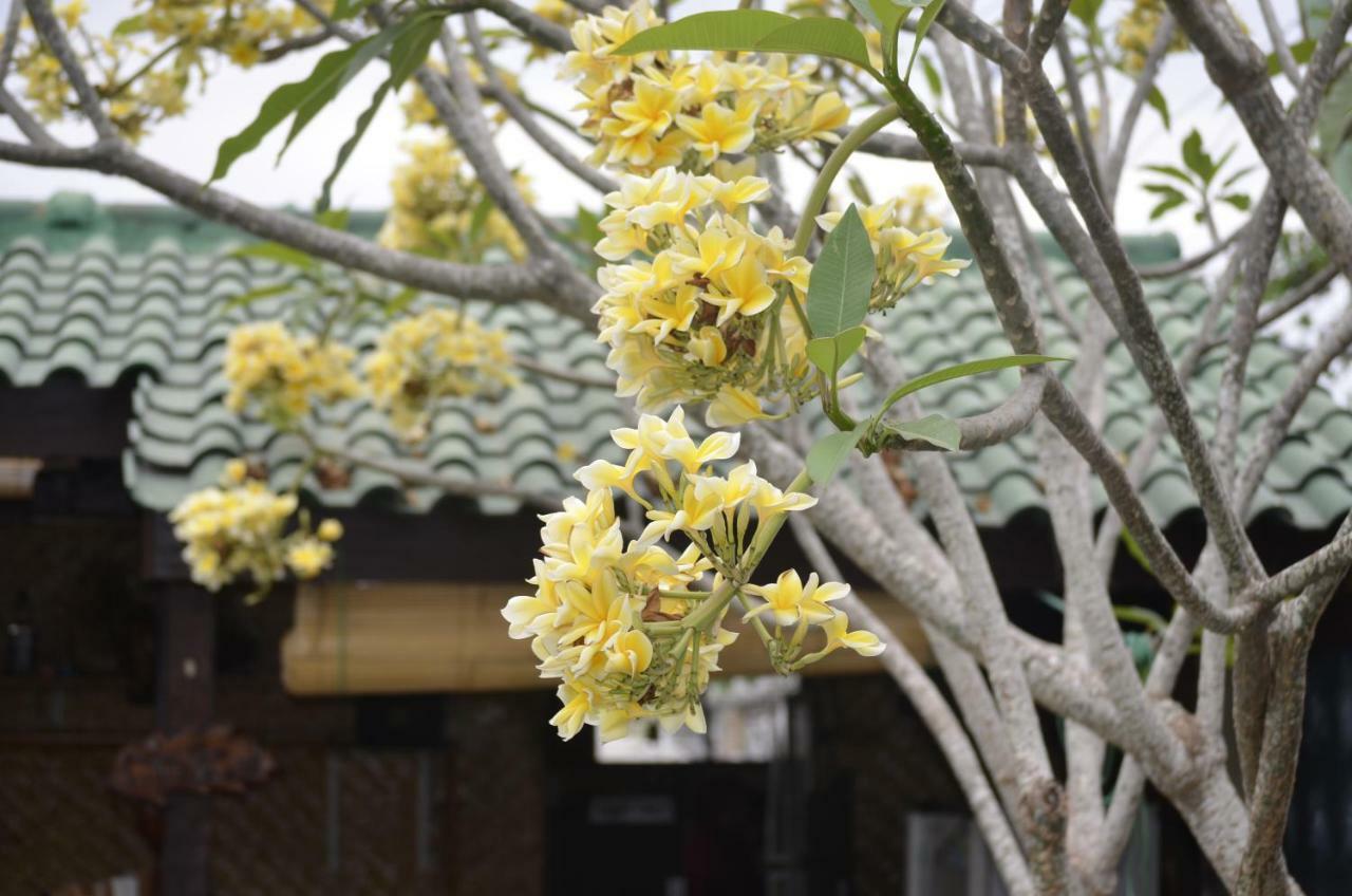 Villa Yukie Senggigi Montongbuwoh エクステリア 写真